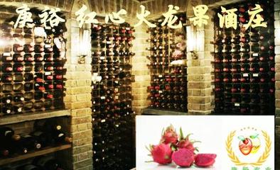 紅心火龍果紅酒/果酒;-朱白庚的圖片-企博網(wǎng)職業(yè)博客