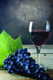 海口晚報數字報&middot;海口晚報網