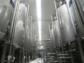 葡萄酒加工設(shè)備 溫州尚運輕工sell 草莓酒生產(chǎn)線