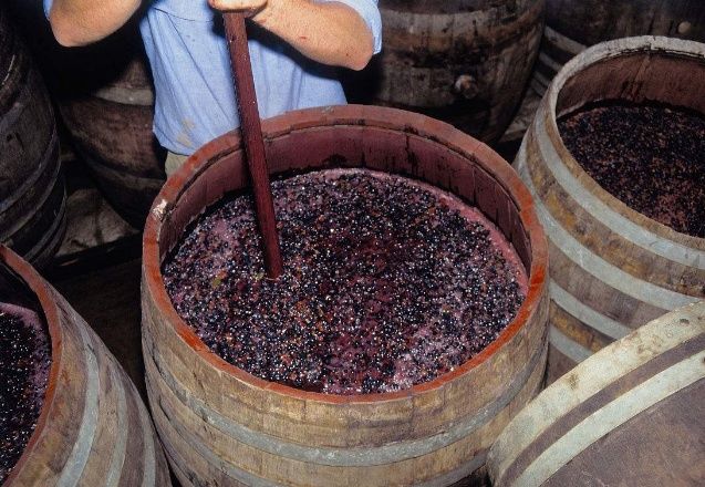 葡萄酒是這樣釀造的,你還會嫌它&amp;quot;臟&amp;quot;嗎?