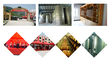 紅酒果酒楊梅酒新年春節年貨禮品賀酒原產地貨源直銷微醉養生冰酒