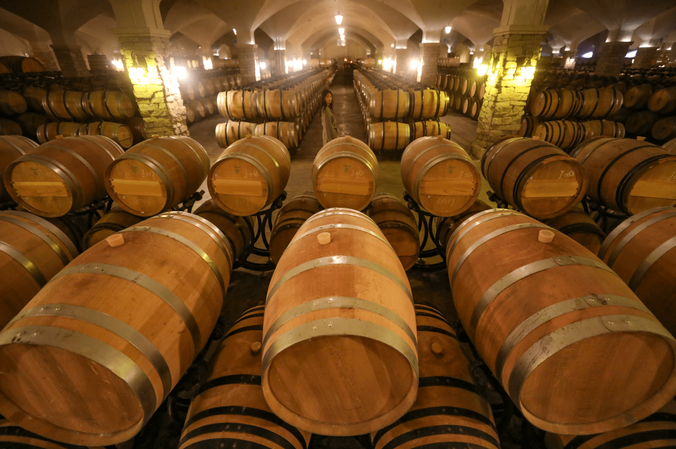 現代科技賦能葡萄酒銷售 世界葡萄酒之窗的多媒體呈現之旅